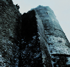 tumblr_npz8nkiCgj1usq21ro7_250.gif