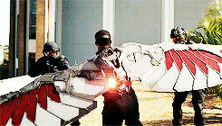 tumblr_o3xh1vgbNl1rr9dcxo7_250.gif