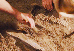 tumblr_n9r2df2ROW1rrkahjo9_250.gif