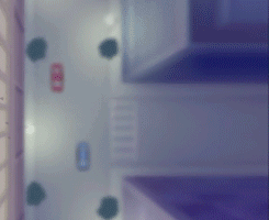 tumblr_mhgvw0tmwh1qmjbn5o4_250.gif