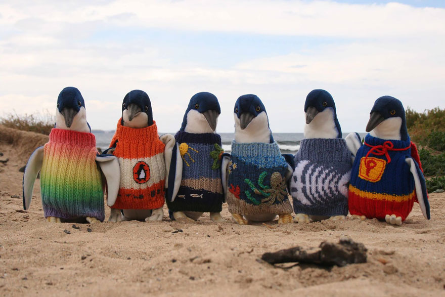 oldest-man-australia-knits-penguin-sweaters-1.jpg