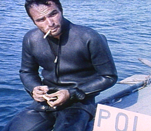 shark-01.jpg