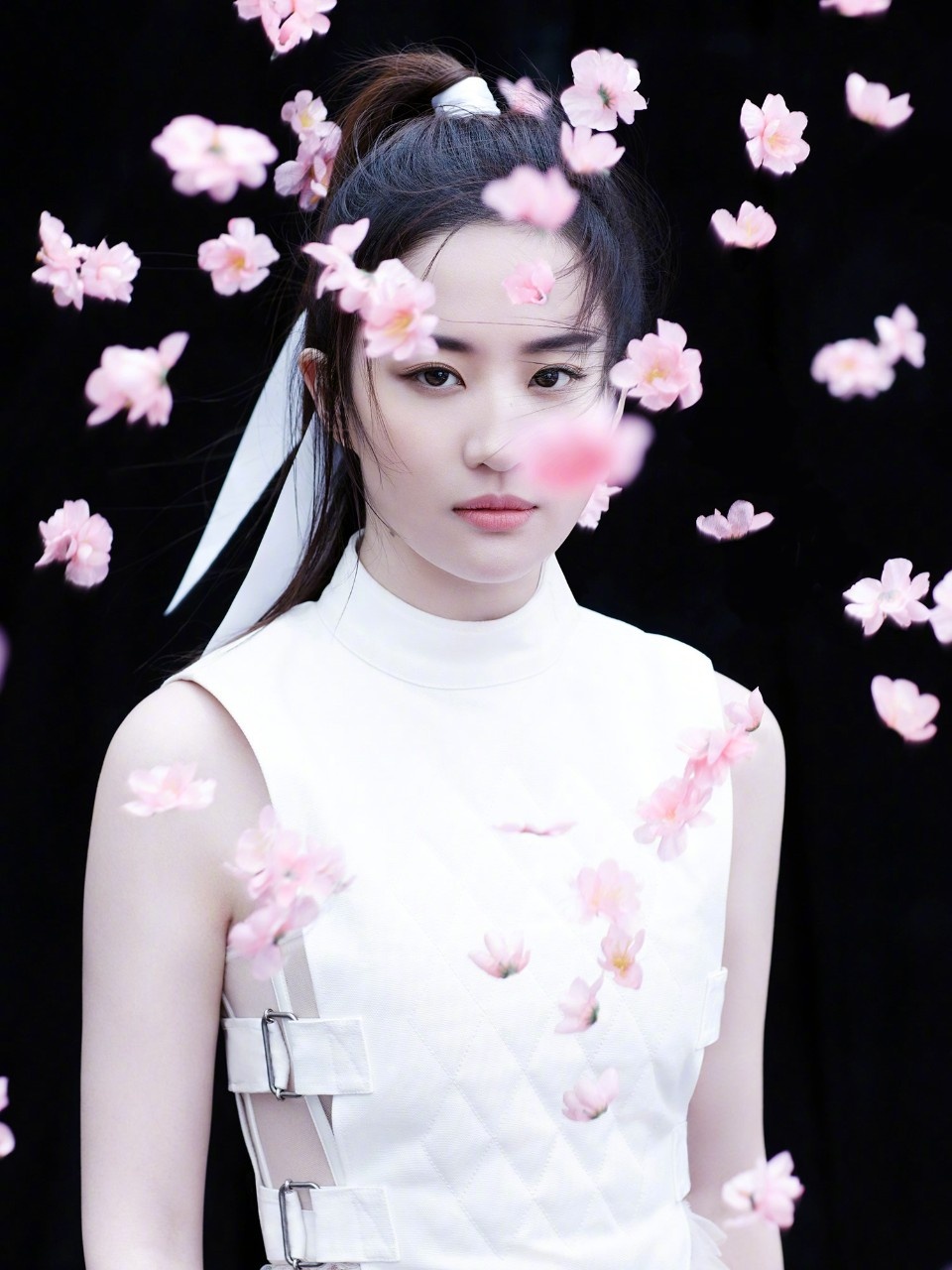 LiuYiFeiMulan2.jpg