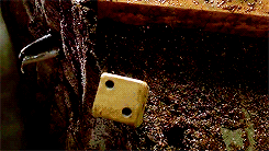 tumblr_n1ohf8Pavi1qm7xlio10_250.gif