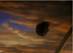 tumblr_n8u9xeoduv1sqfya2o2_400.gif