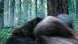 tumblr_nvgn40IyaV1uewdrio3_400.gif