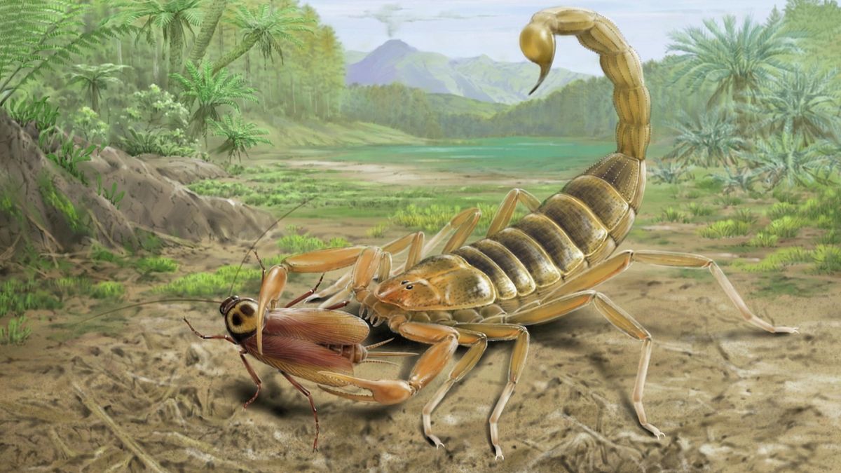 www.livescience.com