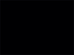 tumblr_na4nfz0FyW1rrkahjo5_250.gif