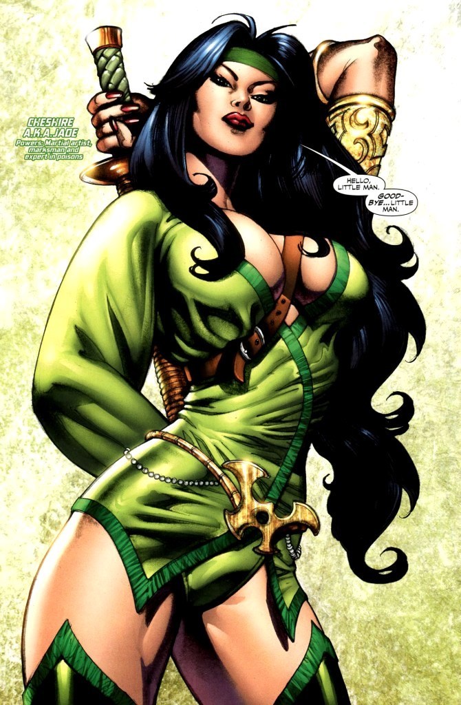 Cheshire-dc-comics-14485688-670-1024.jpg
