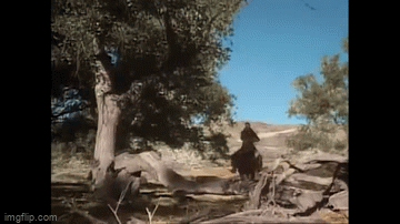 6th9g0.gif