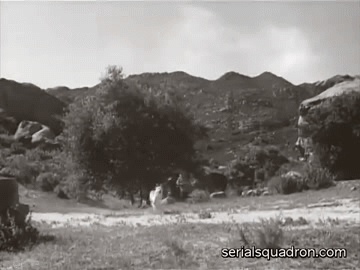 2377358bdcf016c13d151c6d99cebdce.gif