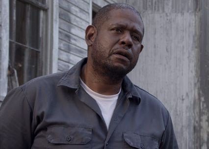 repentance-forest-whitaker1.jpg