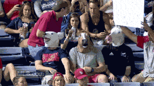 tumblr_n58j0287Pn1rrlda6o1_400.gif