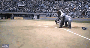 tumblr_mq363xUeVl1rk5zfdo4_400.gif