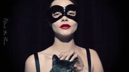tumblr_mjspop3J571rbrg5uo1_500.gif