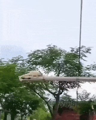 ezgif-6-988e63c81b18.gif
