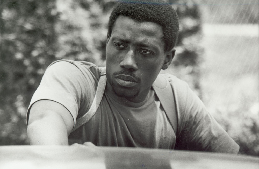 wesley_snipes.jpg