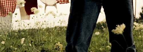 tumblr_m7iwuiAA9P1qc6xxfo1_500.gif