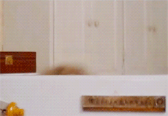 tumblr_na66sxhLgn1rrkahjo5_250.gif