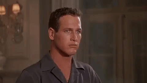 9kQV.gif