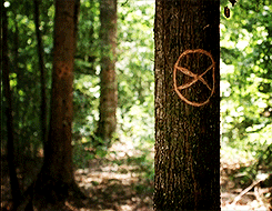 tumblr_ndd6ycjxOq1r7wse8o5_250.gif