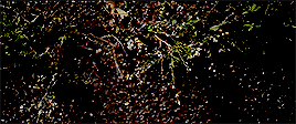 tumblr_nm0oz0OSL01qiq07qo10_400.gif