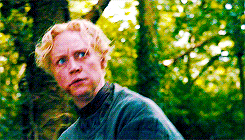 tumblr_mrxw6rJc2f1rllulfo7_r1_250.gif