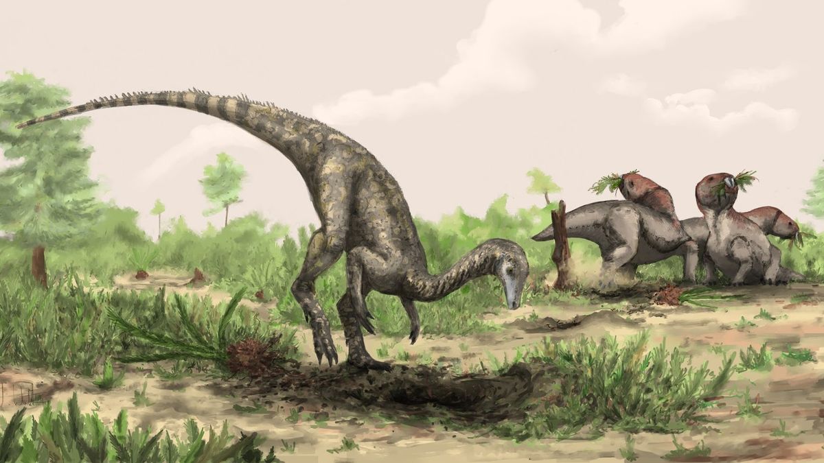 www.livescience.com