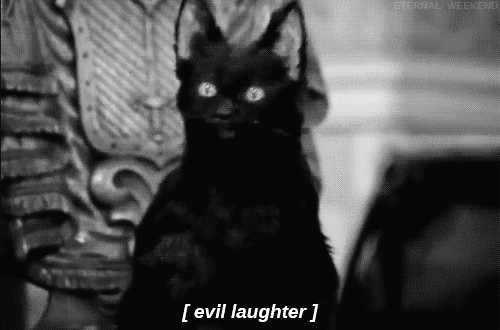 tumblr_mambrlSfZZ1qgciy4o1_500.gif