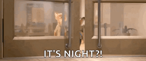 zootopia-shocked.gif