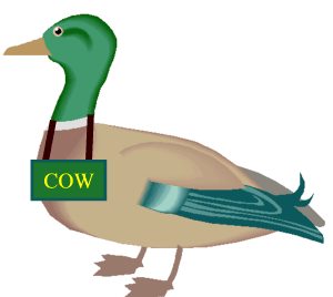 duck-2.jpg