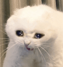 trannhuquynh.gif