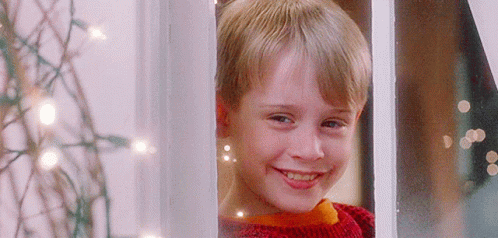 home-alone-hi.gif