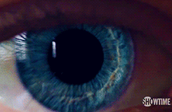 tumblr_n4hw4d9Q3D1qdg533o2_250.gif