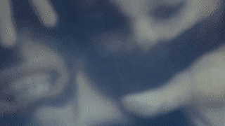 Mirror.gif