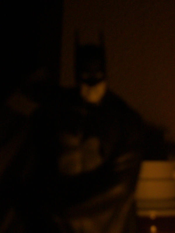 Shadow_of_the_Bat_by_res1986.jpg