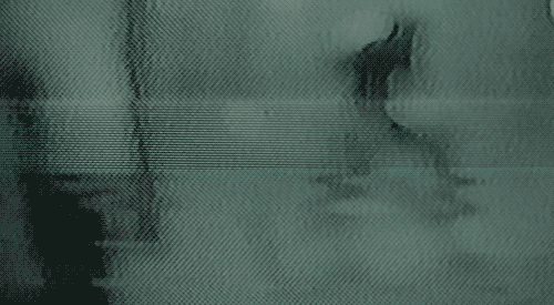 tumblr_nlla2yvMwQ1qdezf9o1_500.gif
