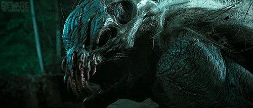 5.gif