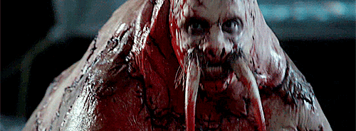 tumblr_ng0p55rbSd1rne776o1_500.gif
