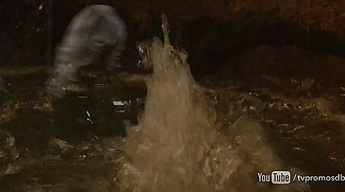tumblr_nmvkobwhTD1unsbsso1_500.gif