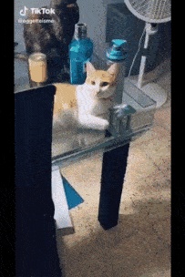 i-do-no-want-this.gif