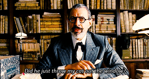 tumblr_n72knohdKW1rom32lo2_500.gif