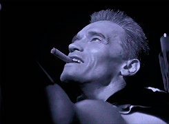 tumblr_n11u40x7ho1tow3s0o6_r1_250.gif