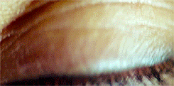 tumblr_n5mqr0ELv71r5s427o2_250.gif