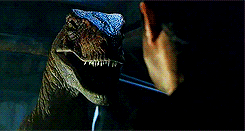tumblr_mrtwz0LRcu1rob81ao6_r1_250.gif