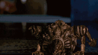 tumblr_n794nx76261tebgrfo5_400.gif