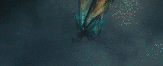 tumblr_pjjeenYb041s05hv8o7_540.gif