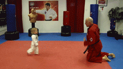 tumblr_muhw2v1xQH1skhzg3o1_250.gif