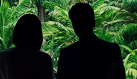 tumblr_nradpooXWJ1tc05ego1_400.gif