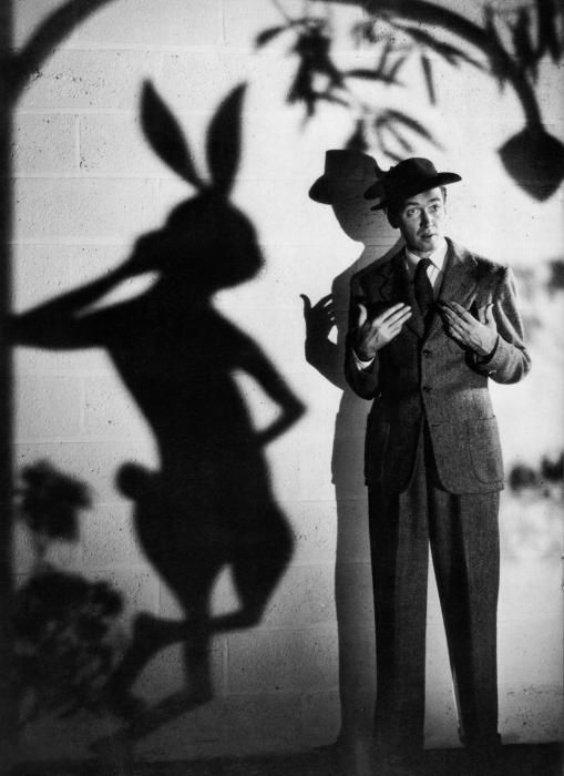 james-stewart-harvey.jpg